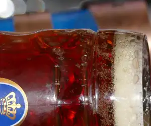 Freshly poured draft beer. 